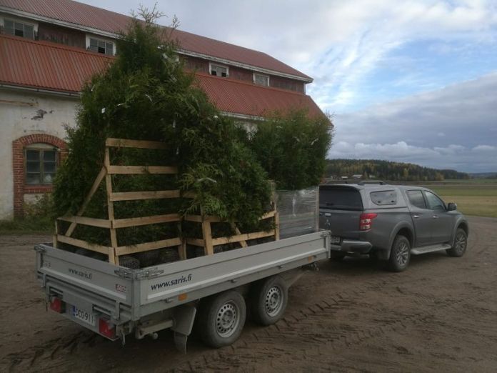 pihakasvien ja puiden pois vienti