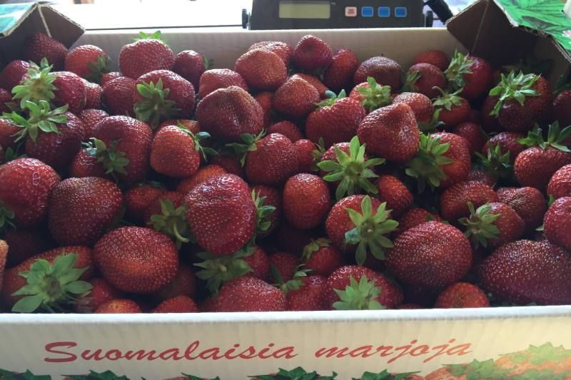 Suomalaisia mansikoita laatikossa