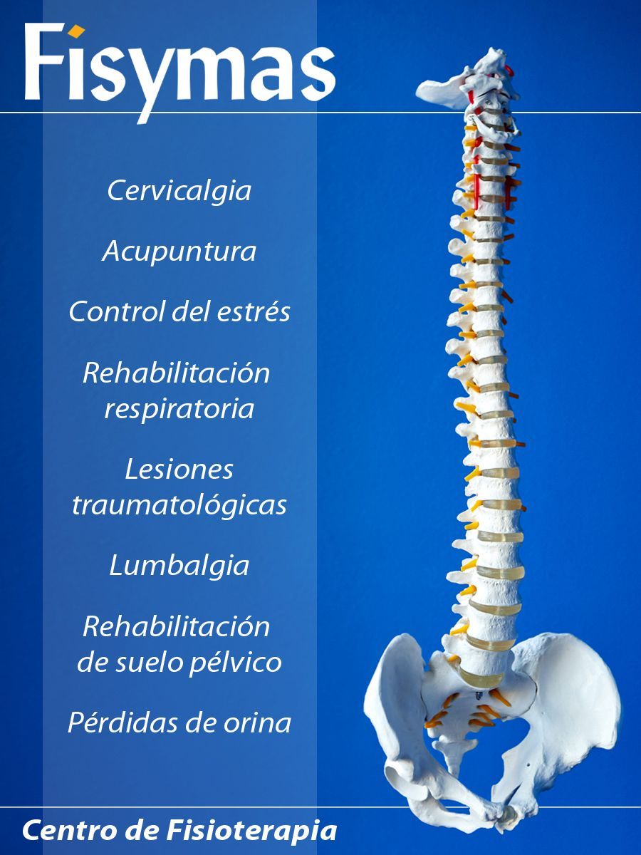 imagen servicio principal