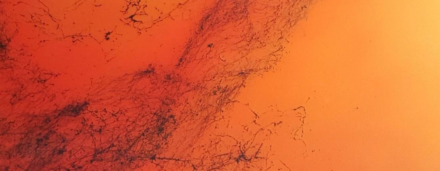 Küchenrückwand VIOLA