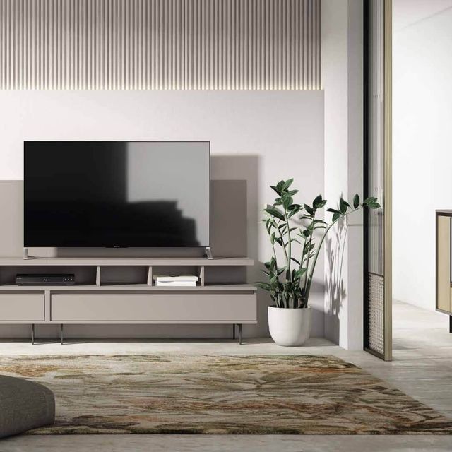 Una sala de estar con un televisor de pantalla plana y una planta en maceta.