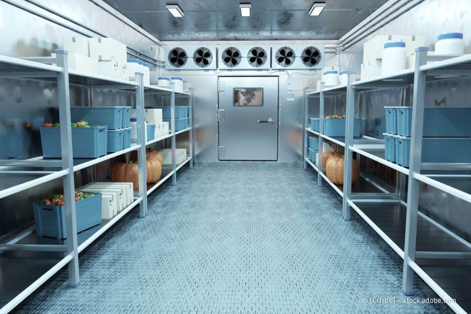 Ein begehbarer Kühlraum mit Metallregalen, gefüllt mit blauen Kisten, Kürbissen und anderen Vorräten.
