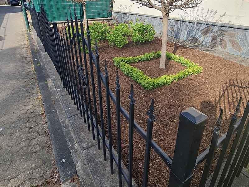 Ein schwarzer Zaun umgibt einen Garten mit einem Baum in der Mitte.