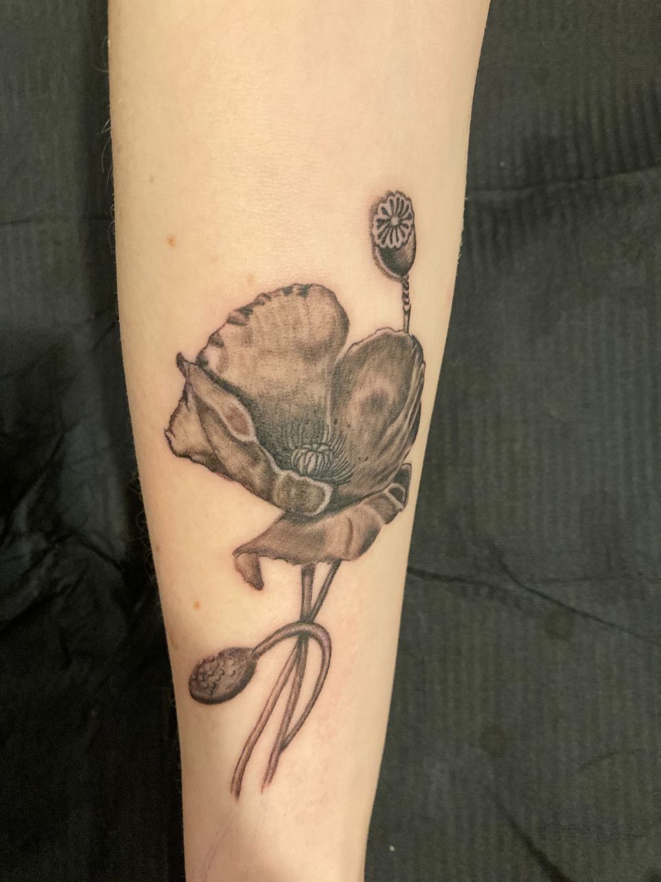 Tattoo, Buenatinta 53 Tattoo