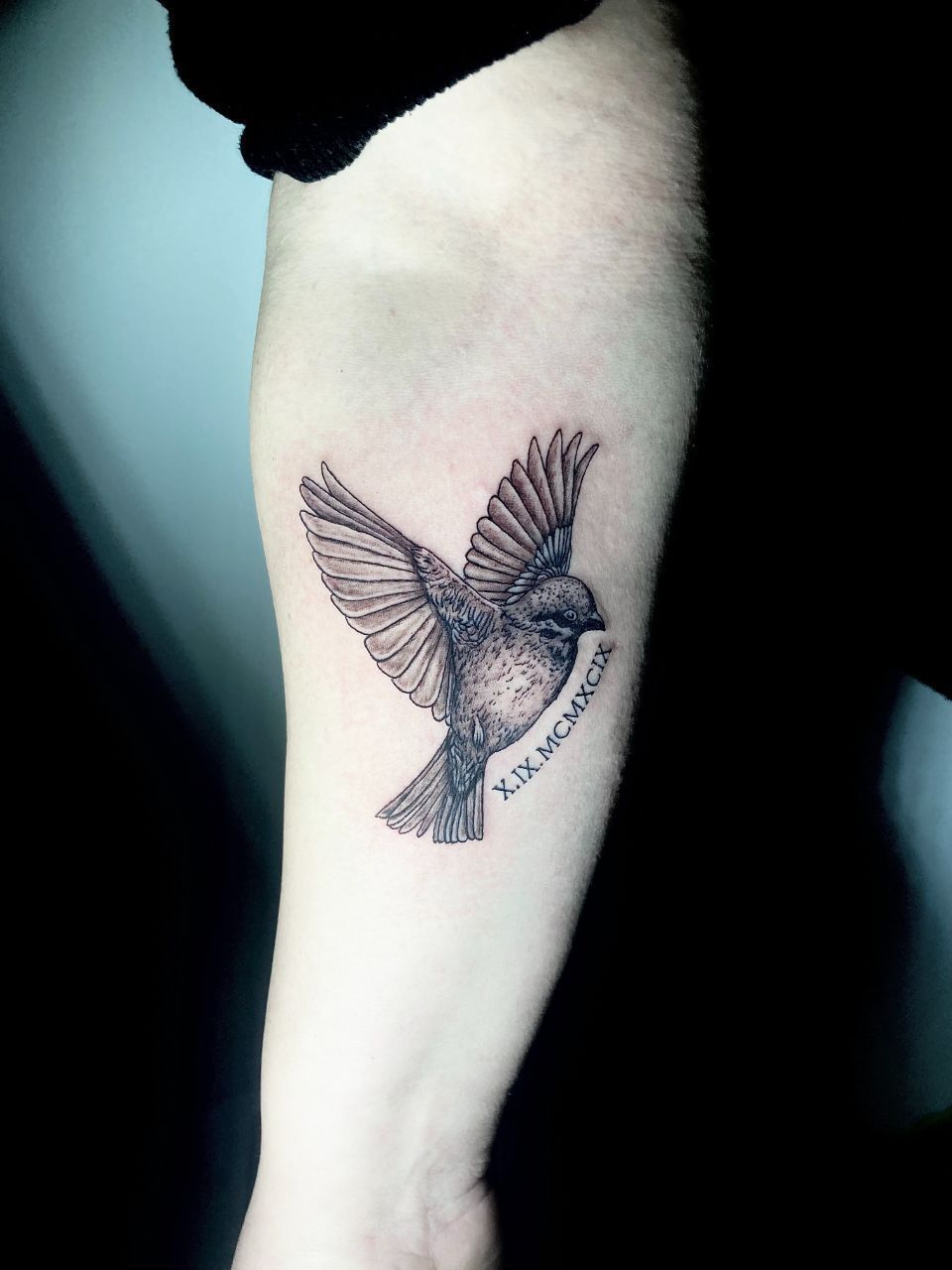 Vogel-Tattoo, Buenatinta 53 Tattoo