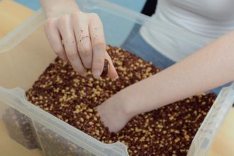 Person vergräbt Hand in einer Box mit kleinen Steinen
