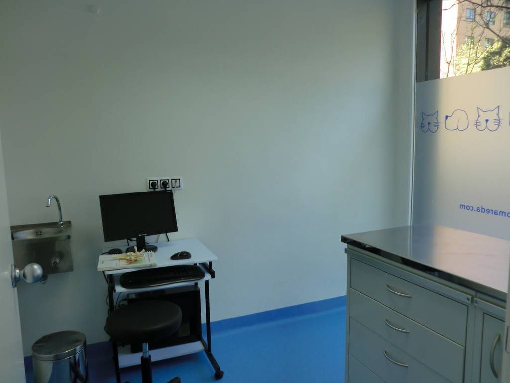 Una habitación con una computadora en un escritorio y un lavabo.