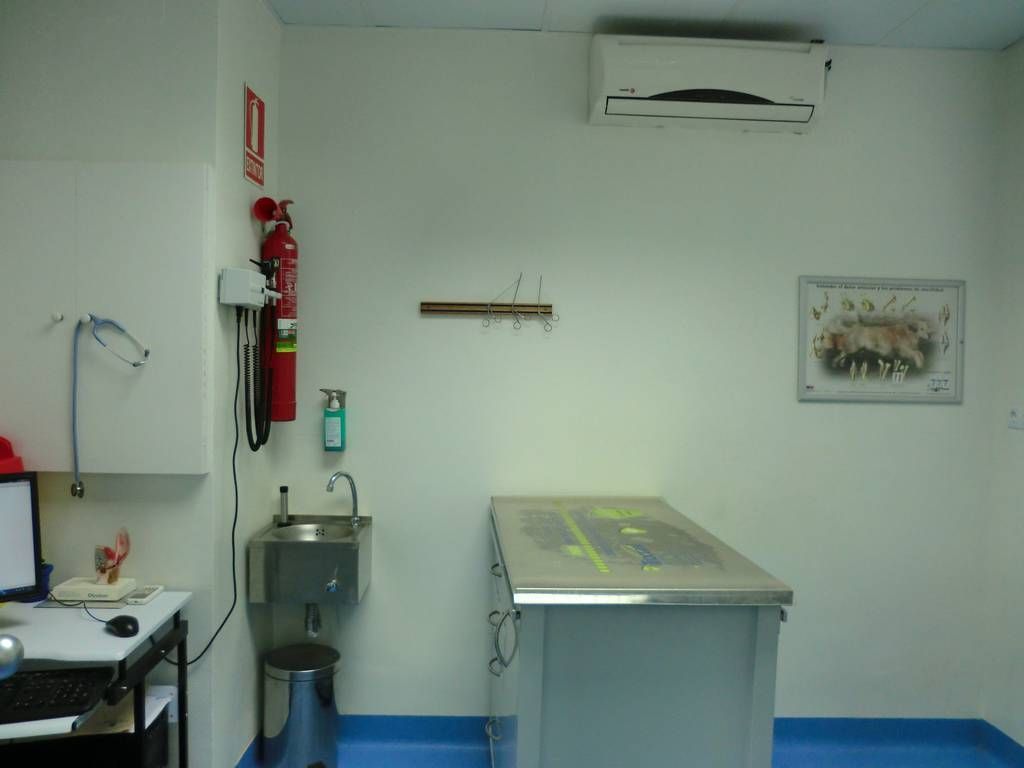 Una habitación con una mesa de acero inoxidable y un fregadero.