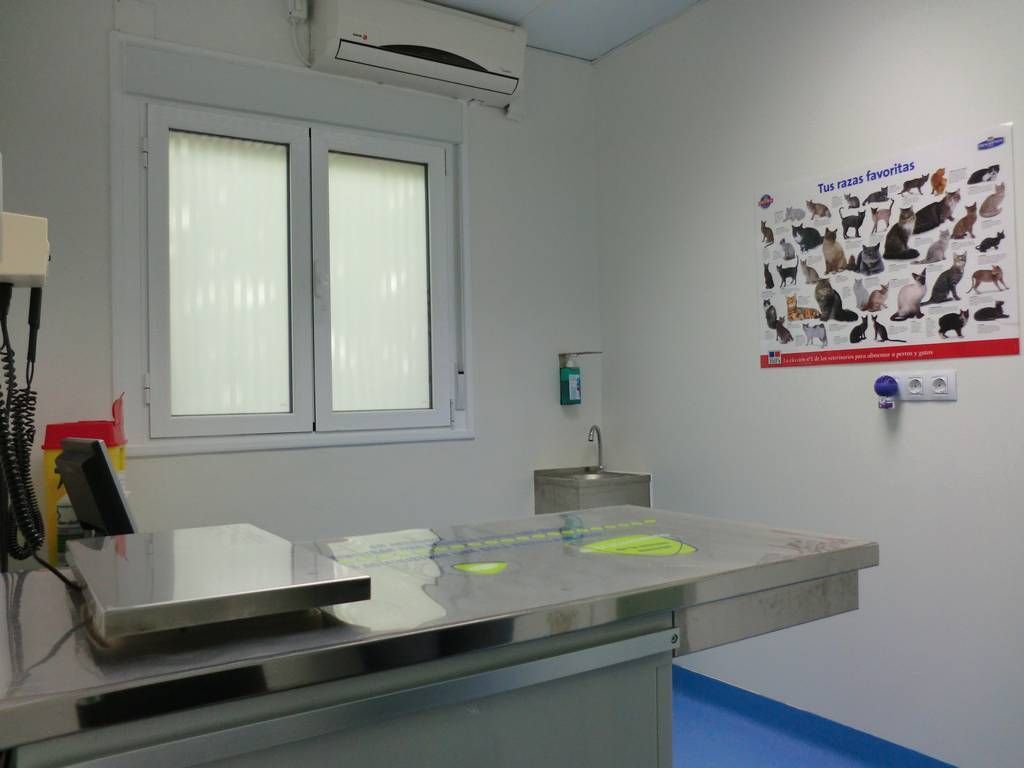 Un consultorio veterinario con una mesa y un cartel en la pared.
