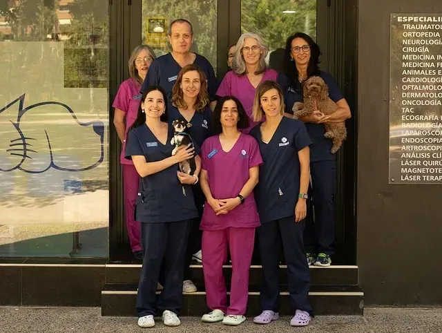 Veterinario en Zaragoza