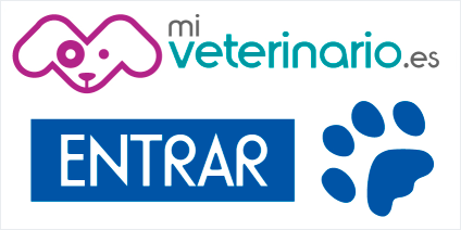 Un logotipo para mi veterinario.es con una huella de pata