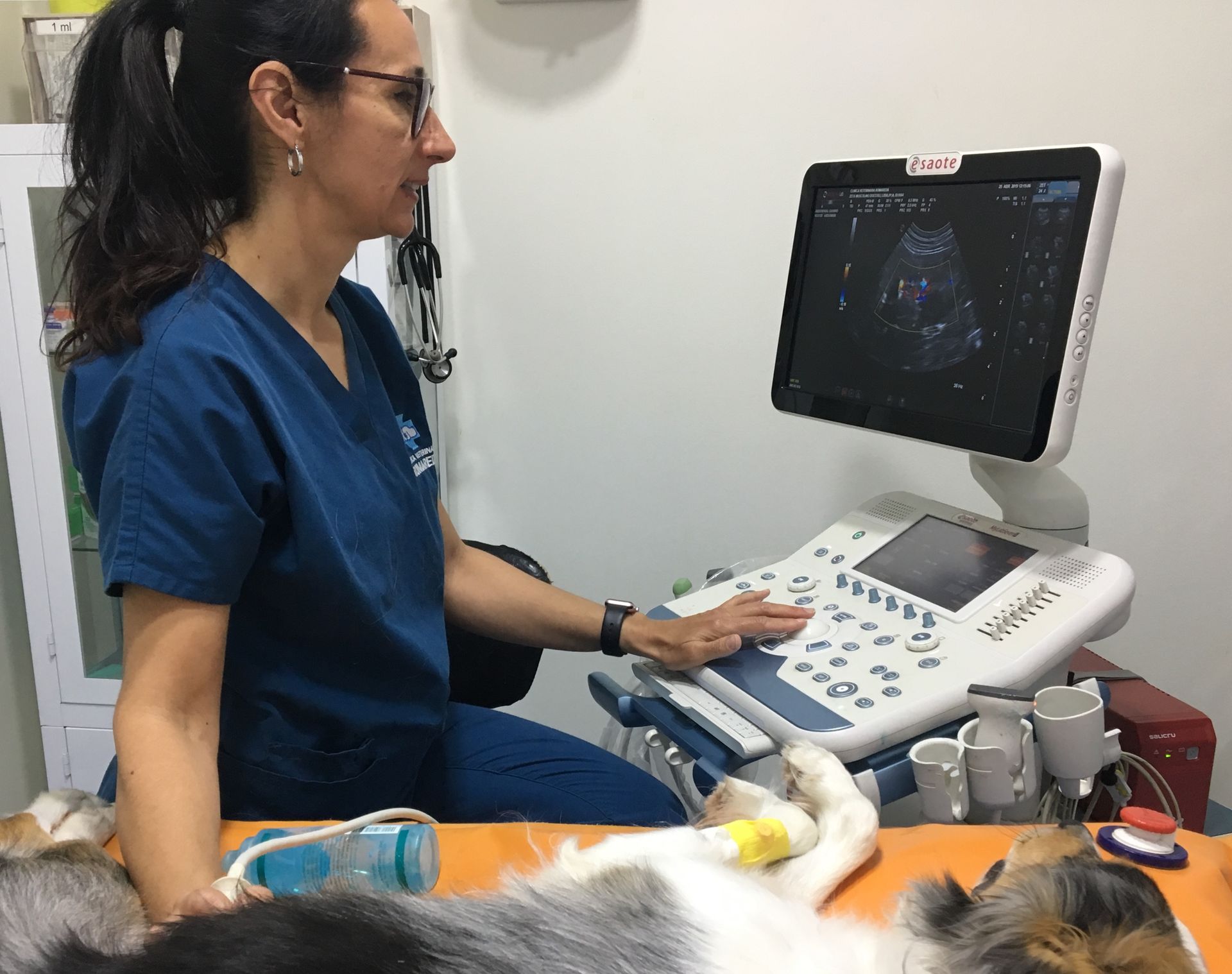 Una mujer está utilizando una máquina de ultrasonido en un gato.