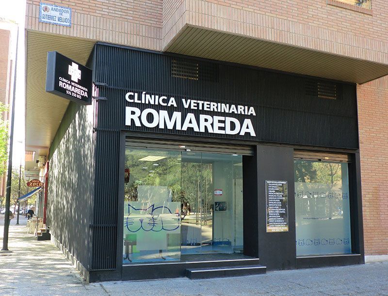 La Clínica Veterinaria Romareda se encuentra en la esquina de un edificio de ladrillo.