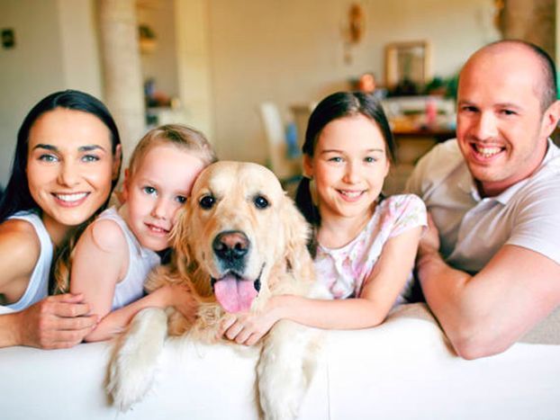 Seguros para Mascotas Perros y Gatos