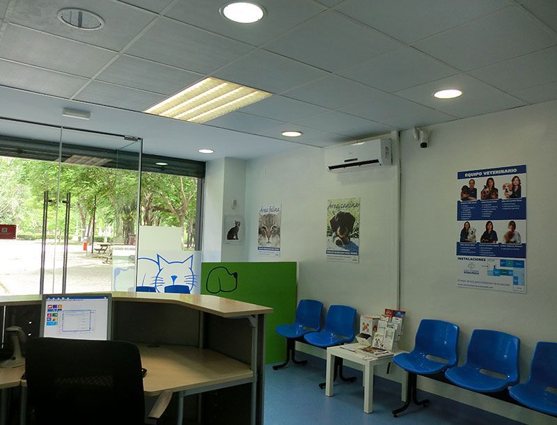 Una sala de espera con sillas azules y un escritorio.