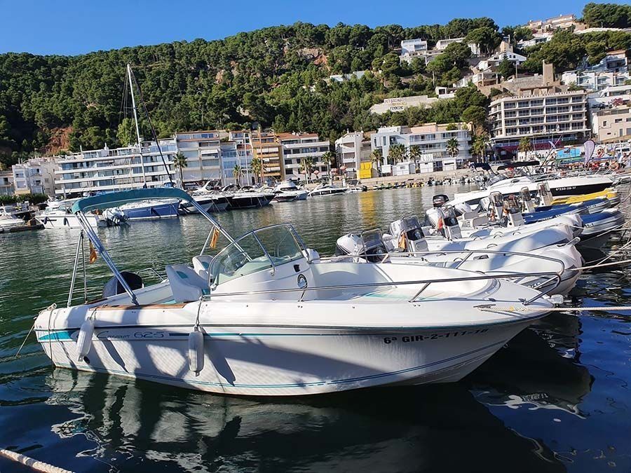 Una fila de barcos están atracados en un puerto.