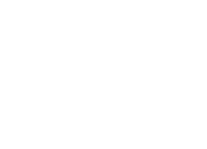 Una imagen blanca en blanco.