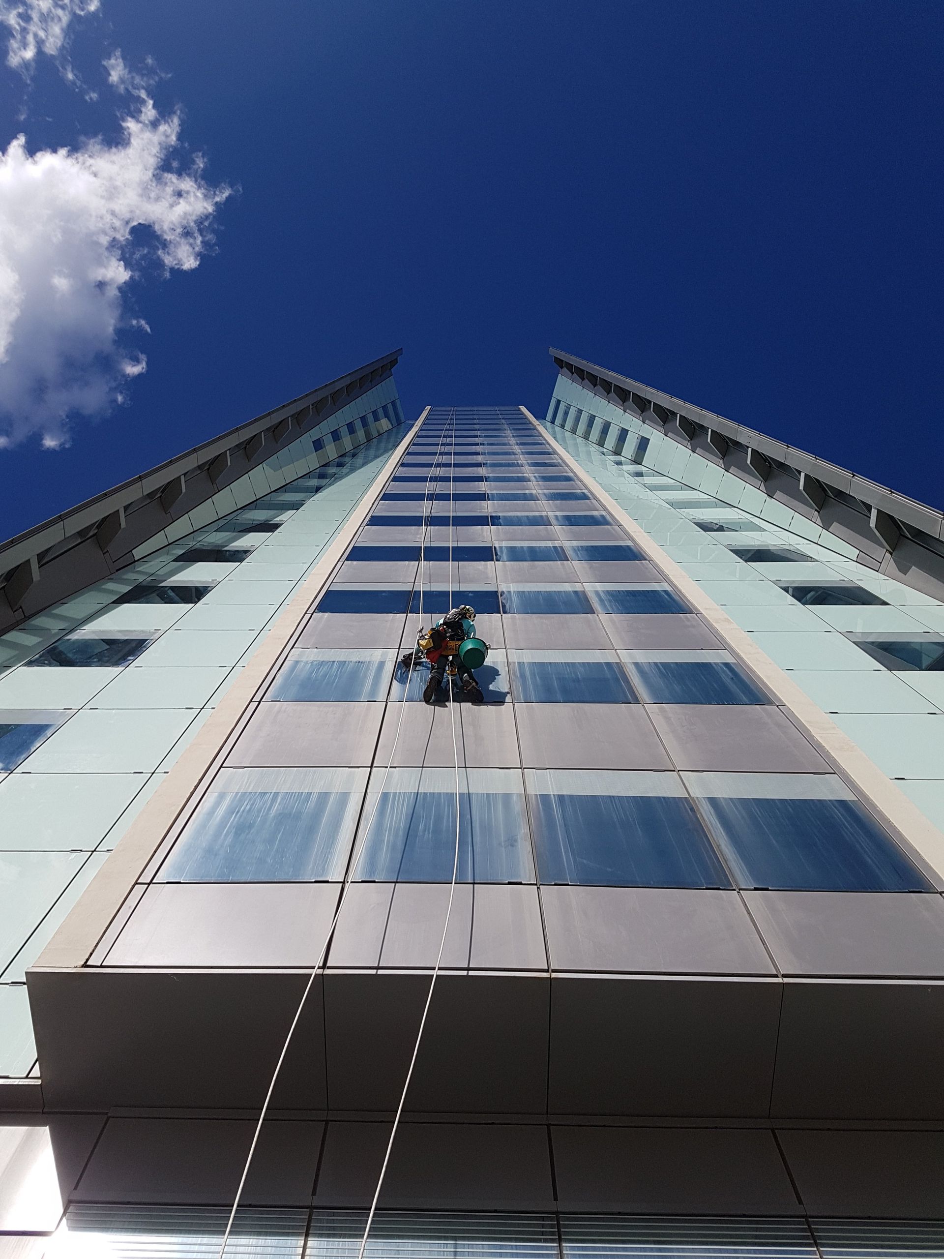 Cordiste qui nettoie une façade vitrée