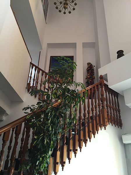 Escalera de madera con una gran planta verde, un cuadro y una lámpara de araña en una casa de dos pisos.