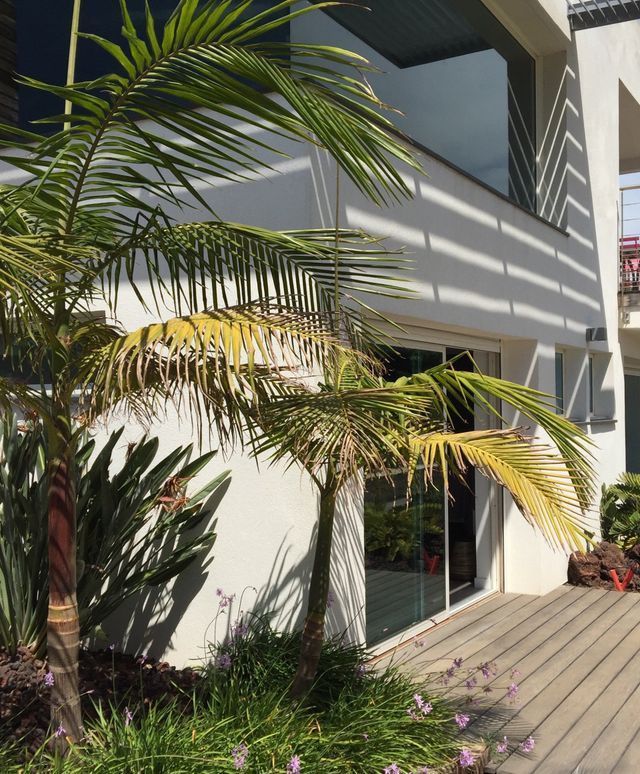 Villa moderne entourée de palmiers