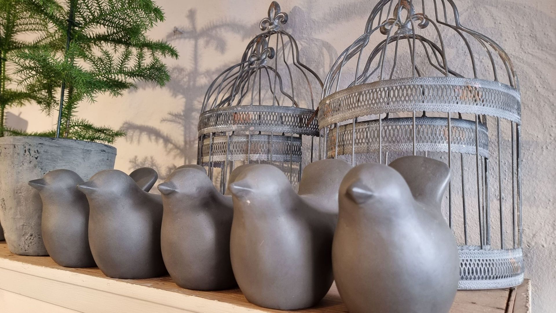 Blumenladen - Blumen Jeniffer - Steckborn