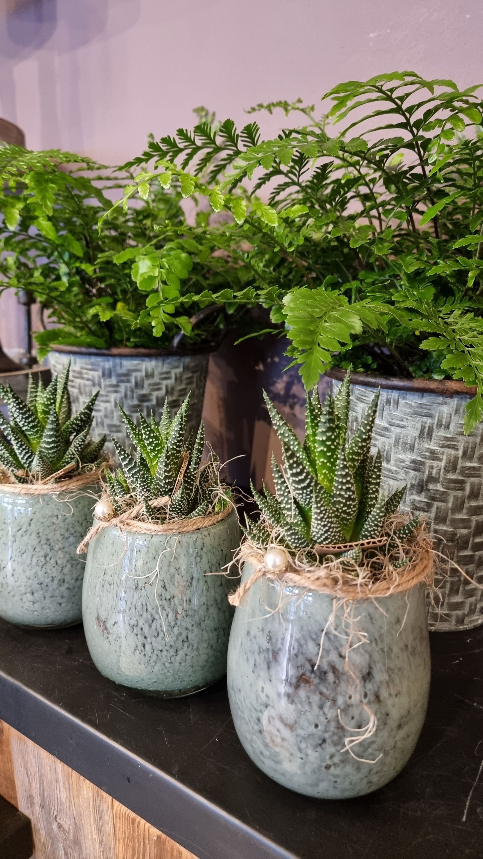 Blumenladen - Blumen Jeniffer - Steckborn