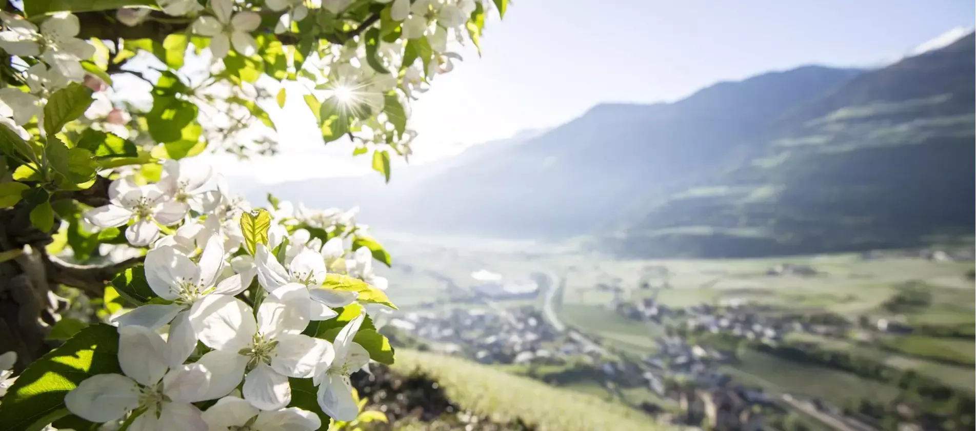 Ferienwohnung Ostern