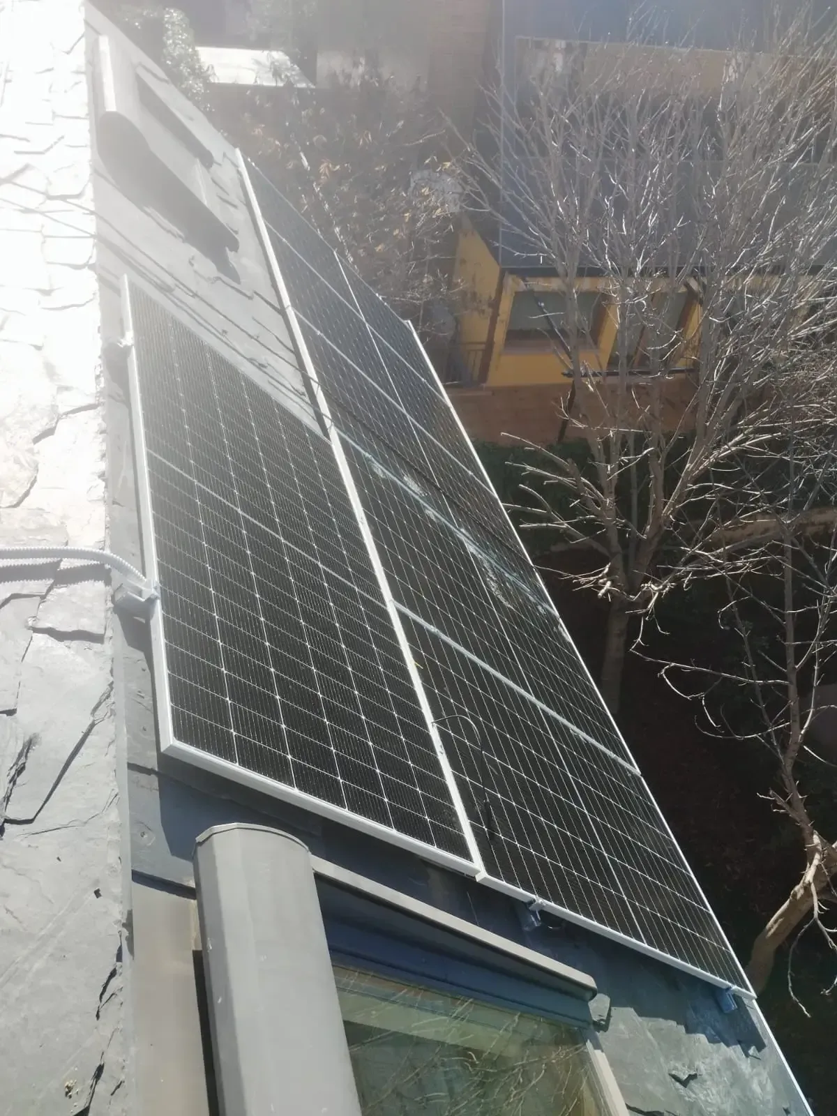 Paneles solares instalados en un tejado inclinado junto a un árbol sin hojas y una casa vecina.