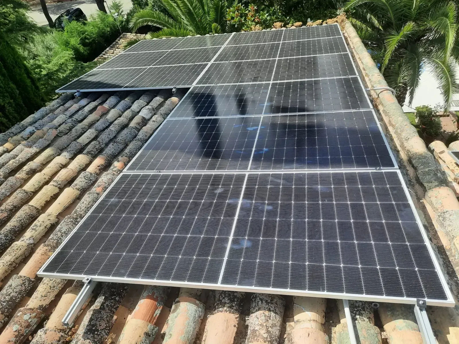 Paneles solares instalados en un tejado de tejas entre palmeras en un entorno tropical.
