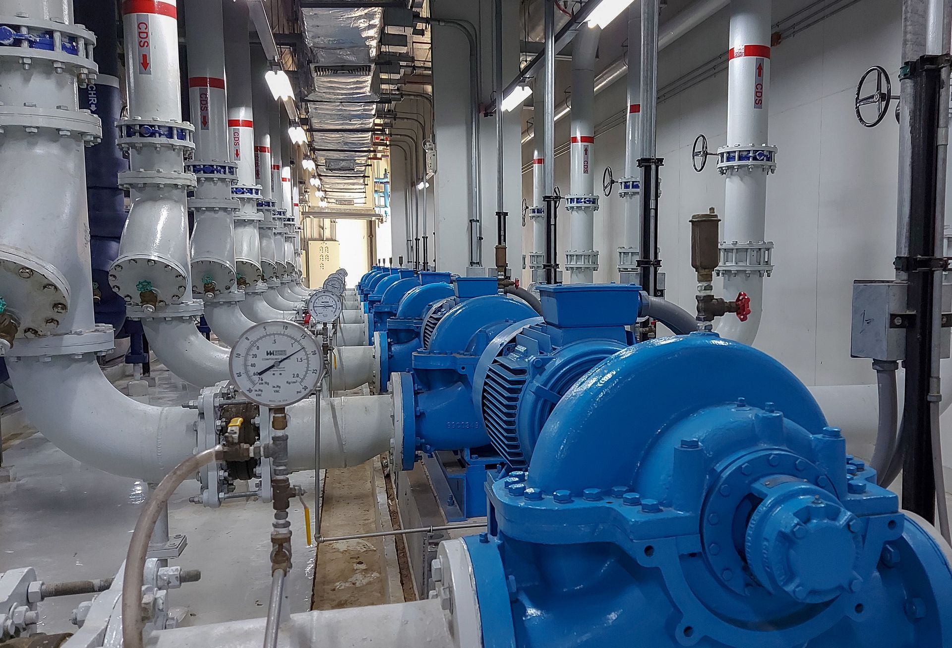 Pompes industrielles bleues avec tuyaux blancs dans un local technique.