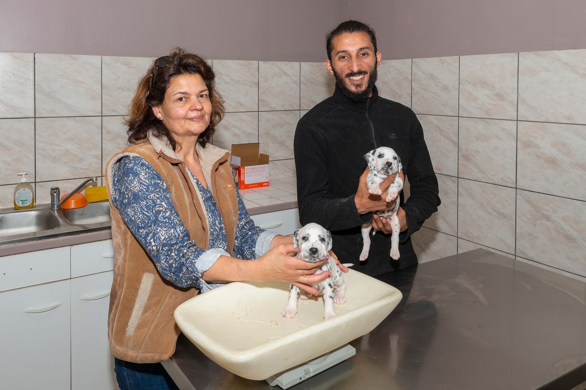 Les deux éleveurs tenant deux chiots dalmatiens