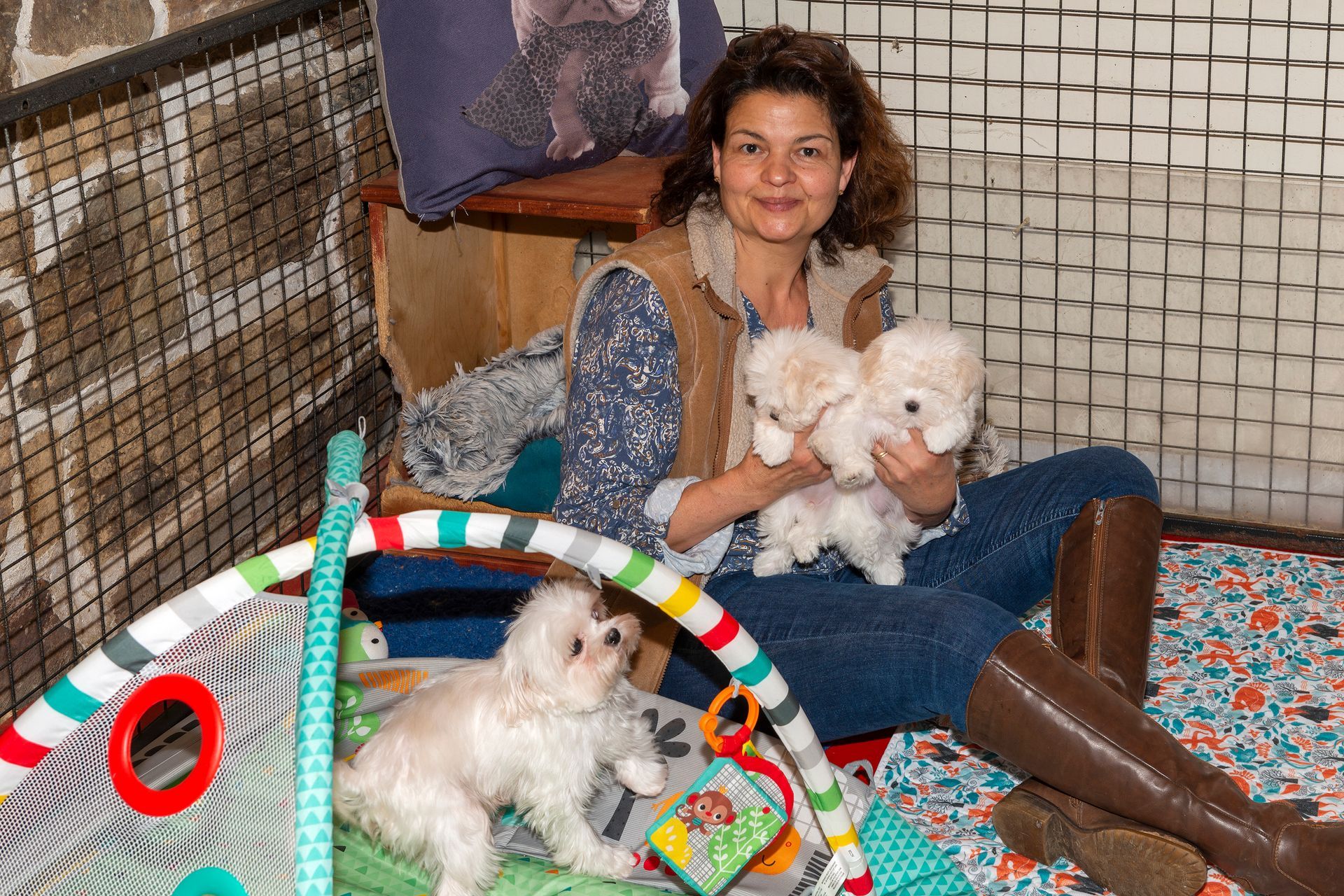 Éleveuse assise par terre tenant dans ses bras deux chiots bichon maltais et un à côté d'elle