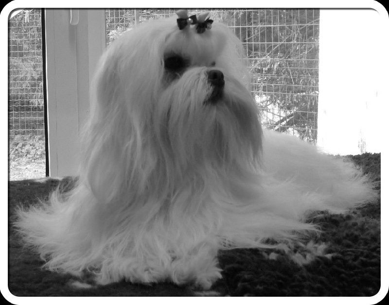 Freedom en noir et blanc