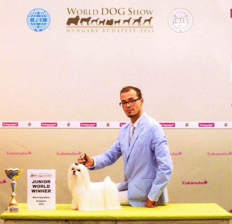 Hello angel concourant