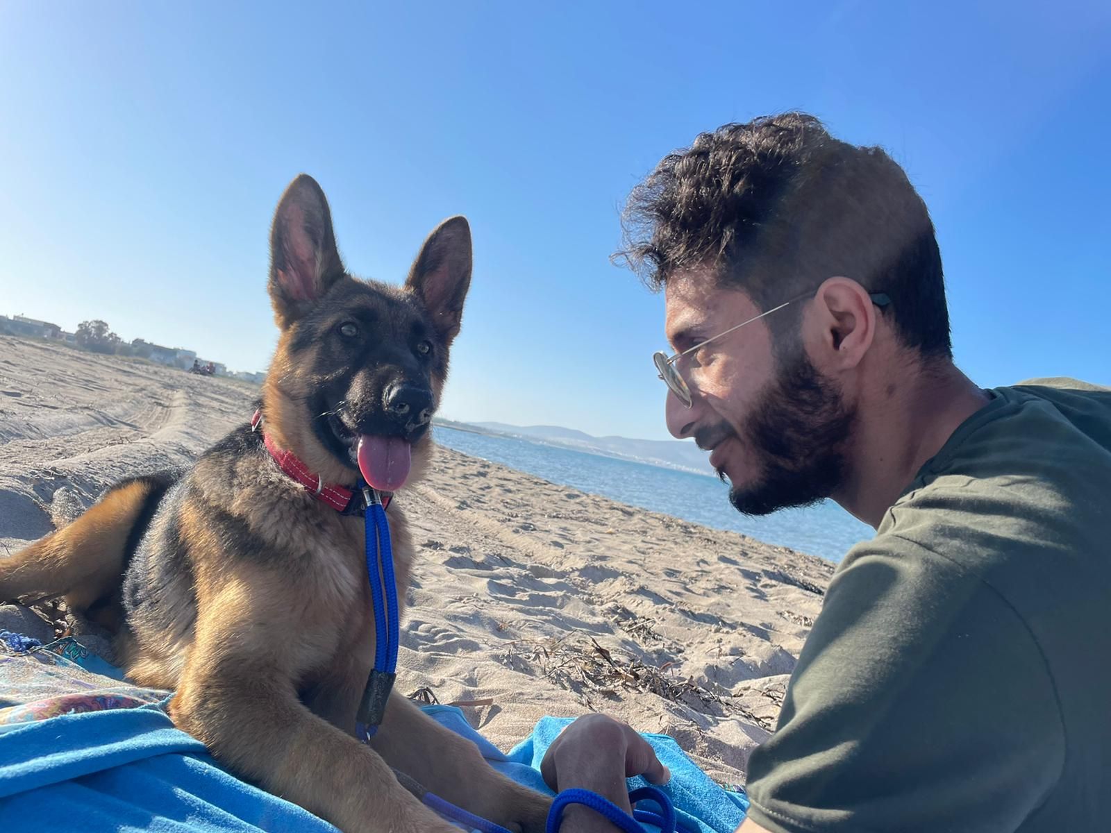 Jeune berger allemand et son éleveur à la plage