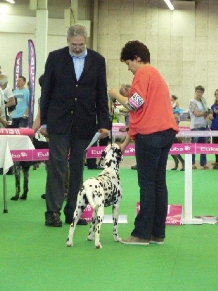 Idromiel et les juges