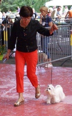 Ilee en représentation