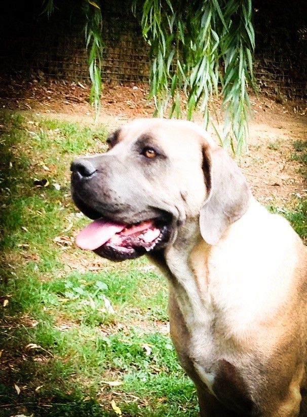 Juliette du Clos des Trois Rivières en gros plan