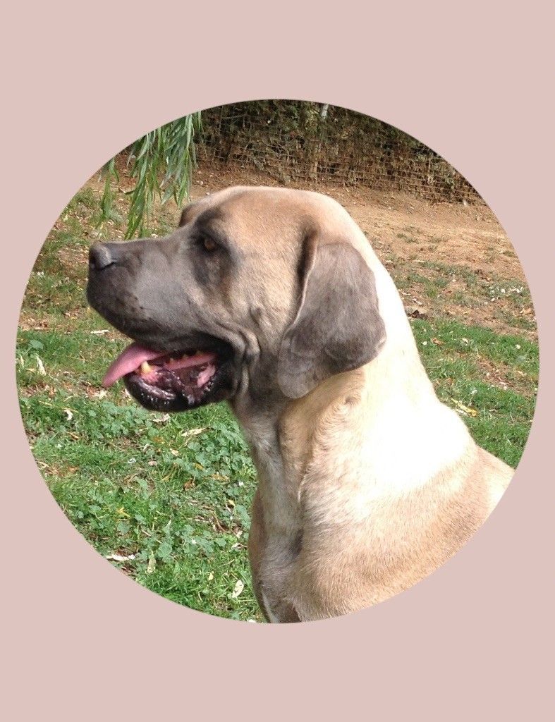 Juliette du Clos des Trois Rivières