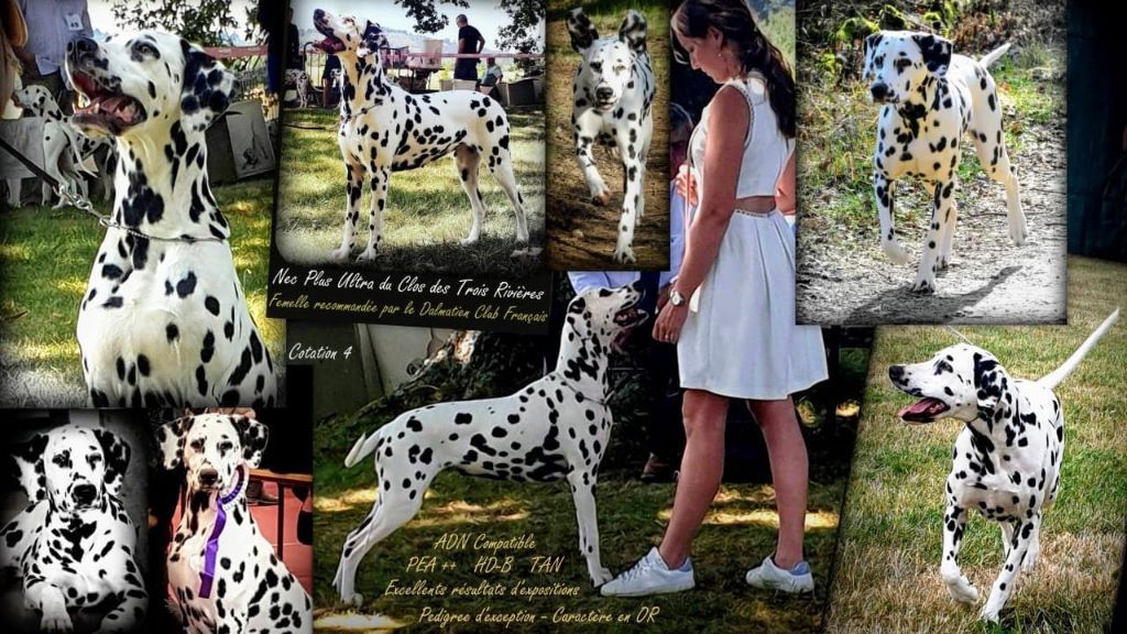 Nec et sa maîtresse