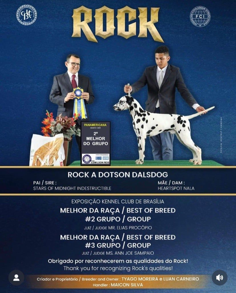 Rock a dotson dalsdog