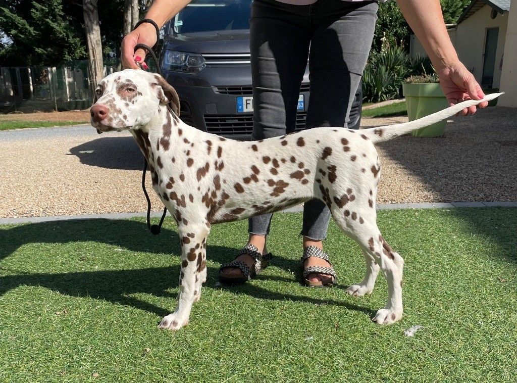 Rocamadour Du Clos des Trois Rivières