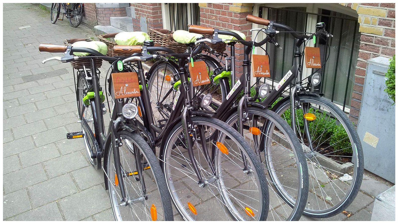 A row of bicycles are parked on a sidewalk in front of a building