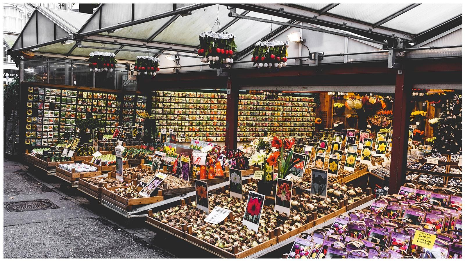There are many different types of flowers on display at this market.
