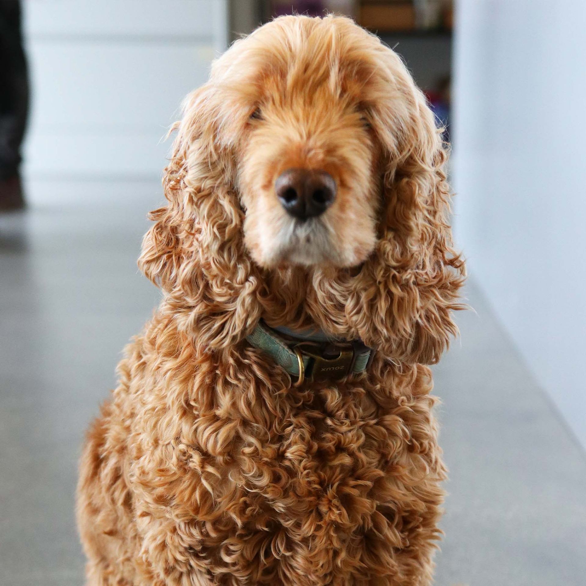 müggler spenglertechnik gmbh – Jonathan Mussale Kikota