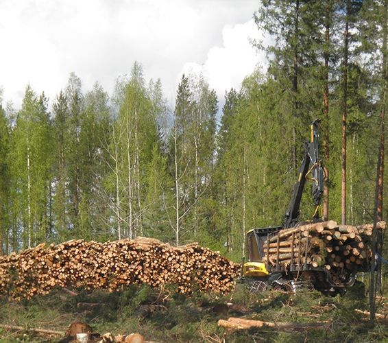 epmmetsa.fi
