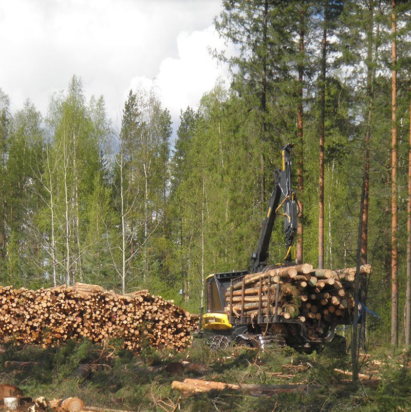 epmmetsa.fi