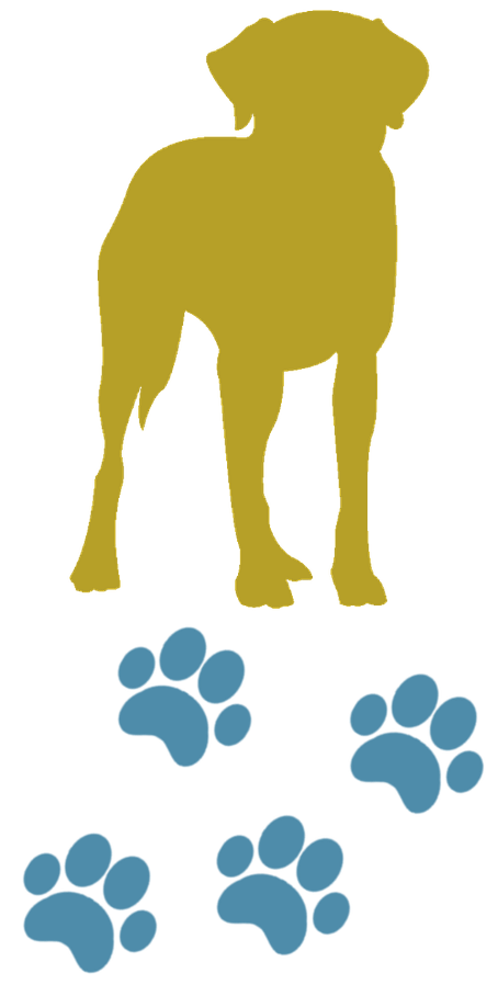 Pension Canine et Féline des Crayes