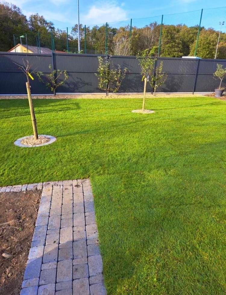 Une pelouse tondue bien verte avec des emplacements pour des arbres.