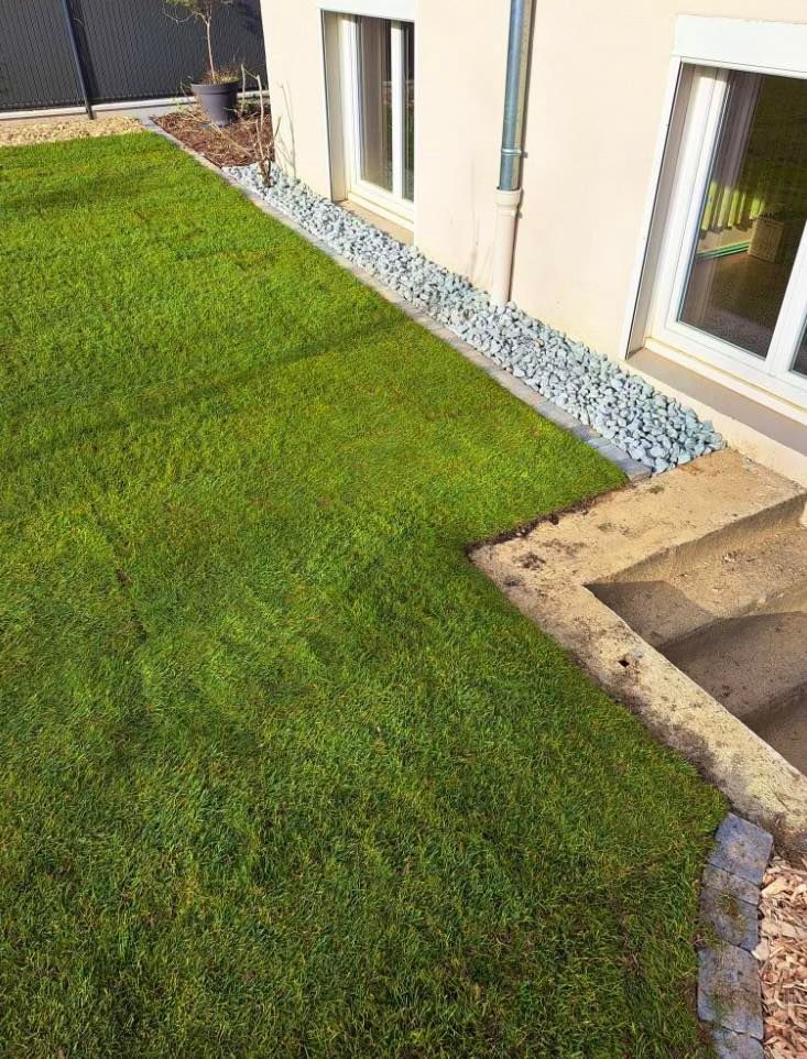 Gros plan sur la pelouse au bord d'une maison.